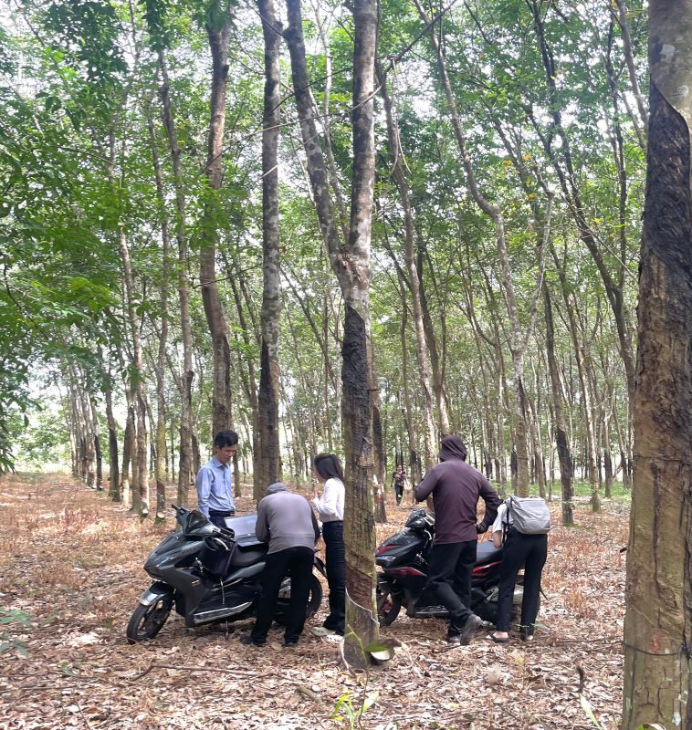 Luật Sư Công Ty Luật Việt Nguyên cùng cơ quan chức năng, đơn vị đo đạc tiên hành đo đạc hiện trạng đất tranh chấp đất đai.