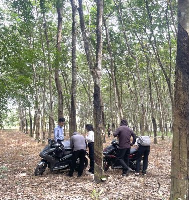 Luật sư đi đo đất- giải quyết tranh chấp đất đai